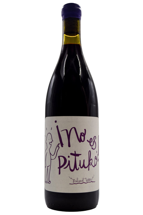 Bottle of Echeverria Curico Valley Carignan No Es Pituko 2024-Red Wine-Flatiron SF