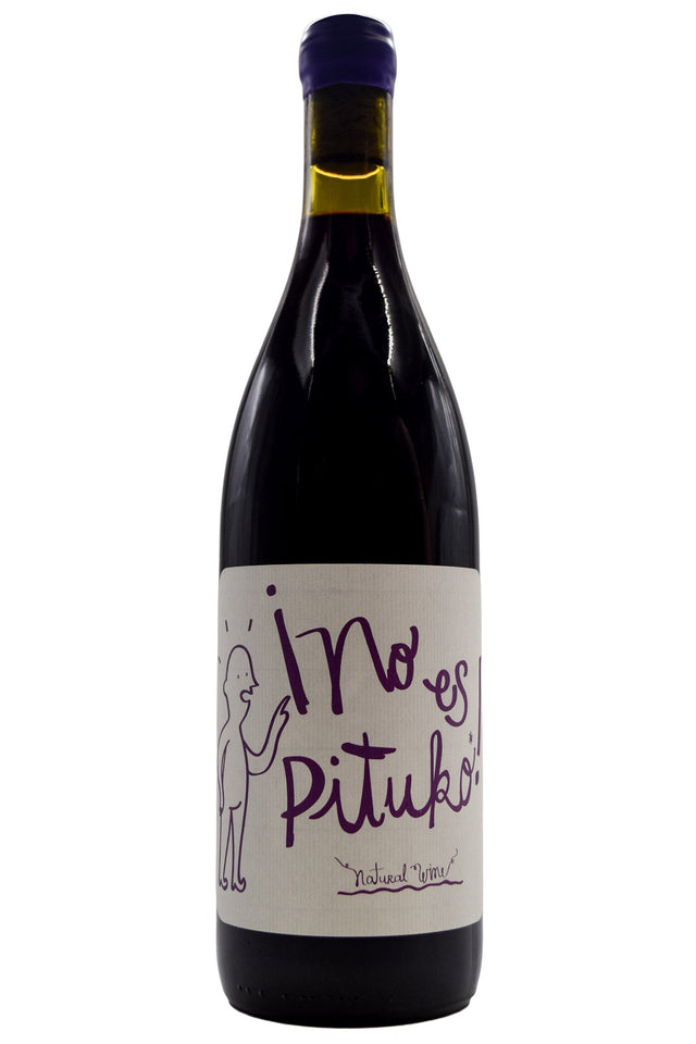 Bottle of Echeverria Curico Valley Carignan No Es Pituko 2024-Red Wine-Flatiron SF