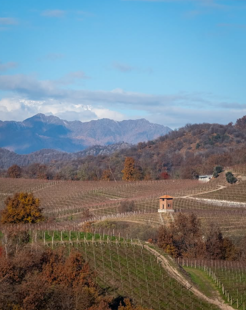 Bottle of Exploring Gattinara with Alessia Travaglini 3/7/25-Event-Flatiron SF