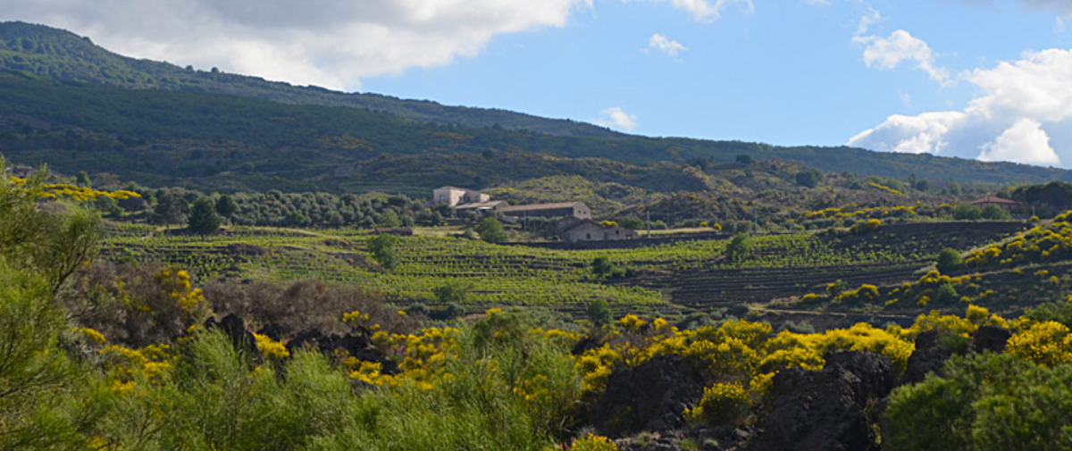 Bottle of Passopisciaro and the Wines of Mount Etna with Special Guest Benjamin Franchetti - 9/22/2026-Event-Flatiron SF