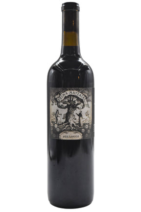 Bottle of Prima Materia Aglianico 2019-Red Wine-Flatiron SF