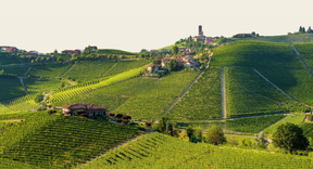 Bottle of Produttori del Barbaresco: An exploration of all 9 Crus with Flori Kennedy-Event-Flatiron SF