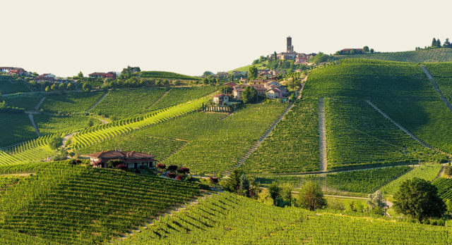 Bottle of Produttori del Barbaresco: An exploration of all 9 Crus with Flori Kennedy-Event-Flatiron SF