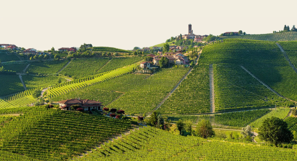 Bottle of Produttori del Barbaresco: An exploration of all 9 Crus with Flori Kennedy-Event-Flatiron SF