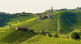 Bottle of Produttori del Barbaresco: An exploration of all 9 Crus with Flori Kennedy-Event-Flatiron SF