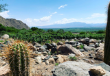 Landscape photo of the Finca Alto Los Cuises Vineyard in the high arid desert of Cafayate wine region.