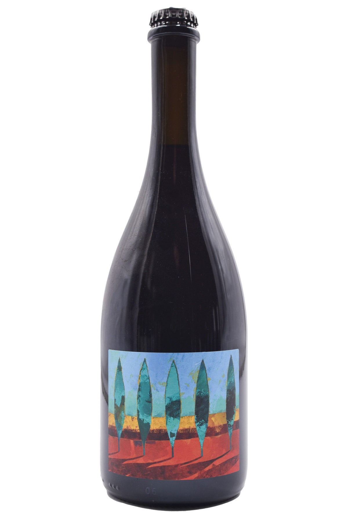 Bottle of Terrevive Lambrusco dell'Emilia Rosso Bergianti No Autoclave 2022-Red Wine-Flatiron SF