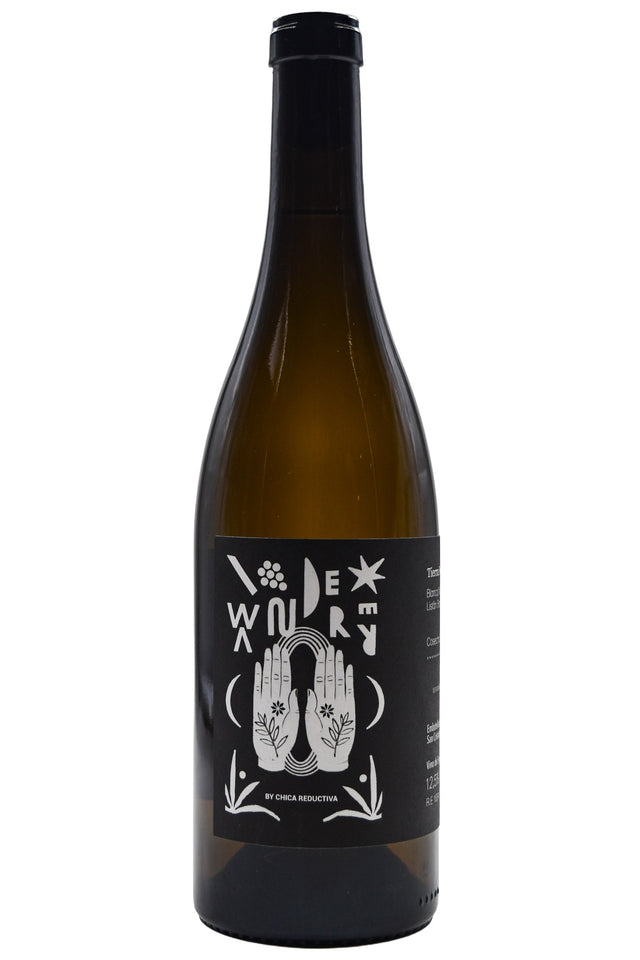 Bottle of Tierra Fundida Las Islas Canarias Wanderer Blanc 2024-White Wine-Flatiron SF