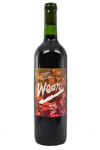 Bottle of Vina Maitia Valle del Maule Carignan Weon 2017-Red Wine-Flatiron SF