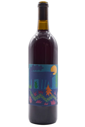 Bottle of Vinos Pijoan Red Blend Carbonica 2024-Rosé Wine-Flatiron SF