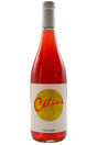 Bottle of Yves Duport Bugey Chillable Red Celine 2025-Red Wine-Flatiron SF