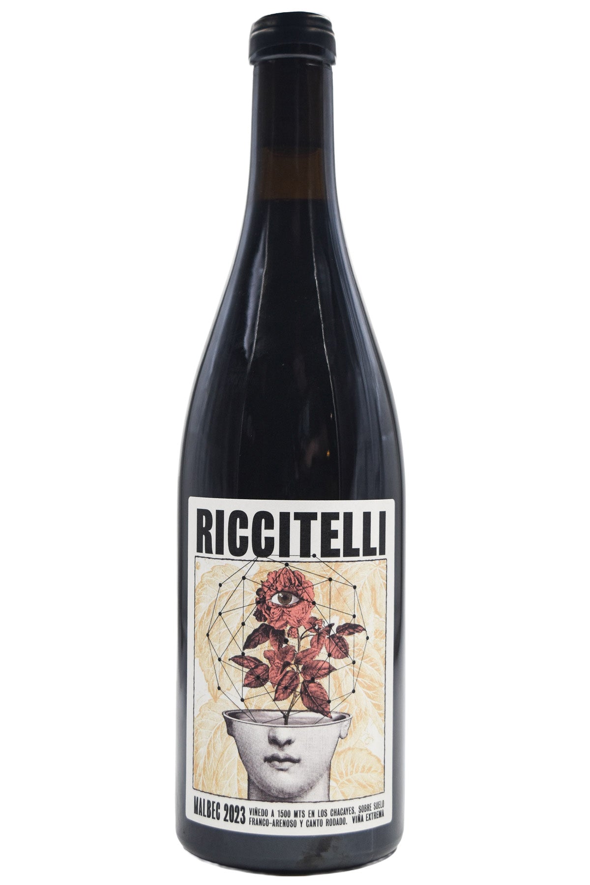 Matias Riccitelli Chayaces Malbec Vina Extrema 2023